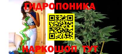 сатива Севастополь